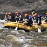 IMG_1431