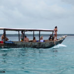 snorkelers