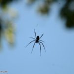 DSC_3241
