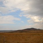 DSC_5124